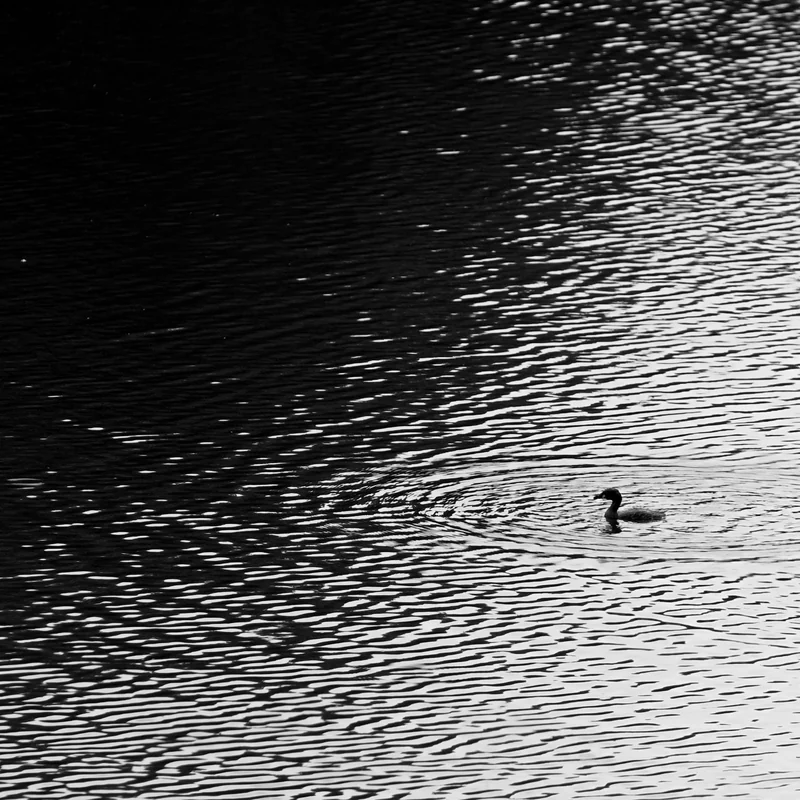 Still Water