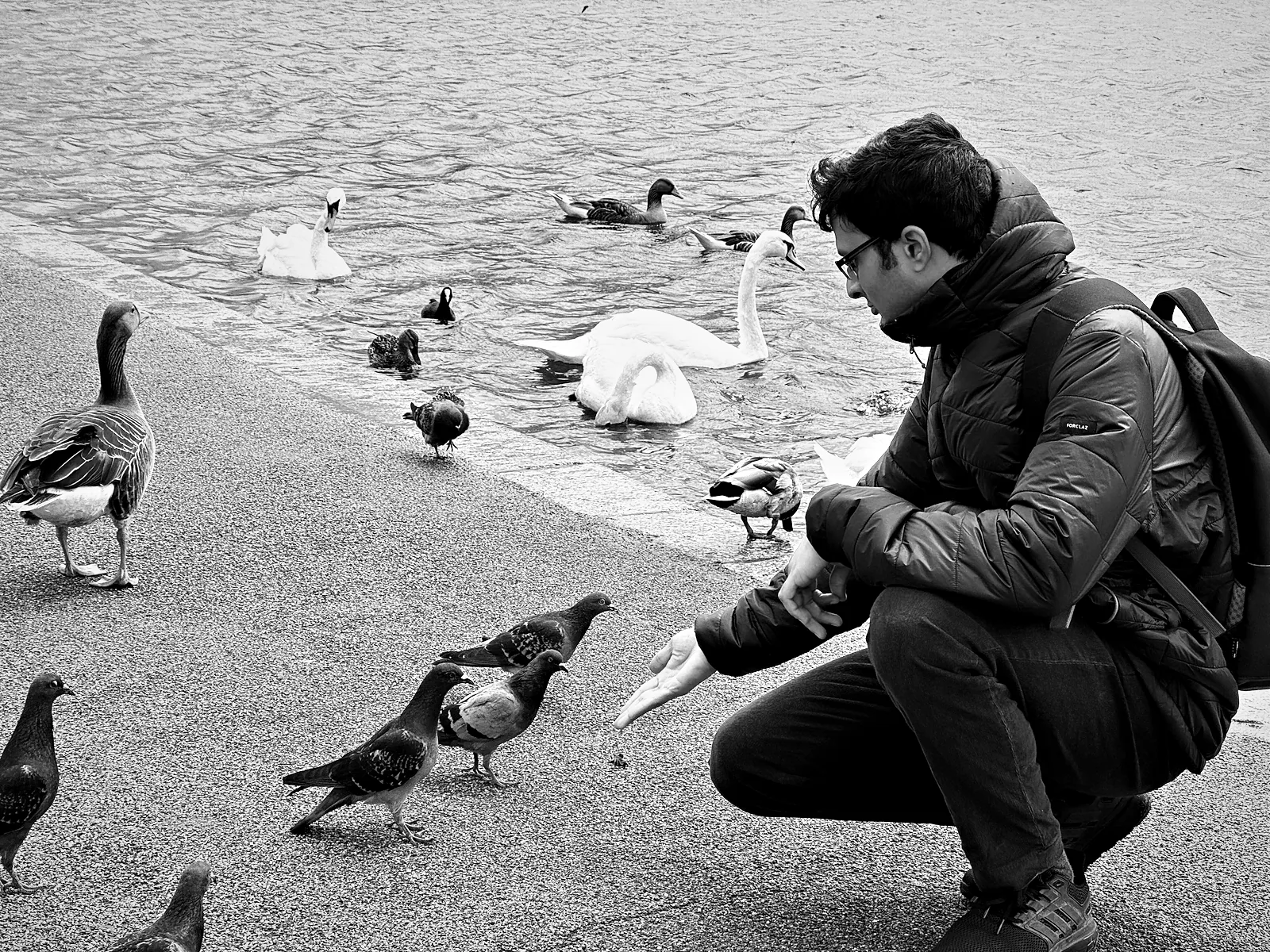 Viren crouching at the Round Pond in Kensington Gardens, feeding pigeons, with geese and swans behind him